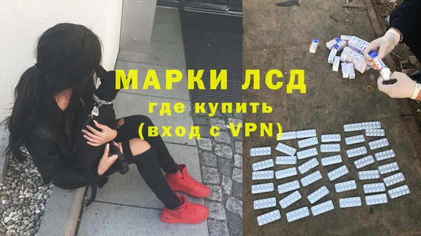 ALPHA-PVP Магас